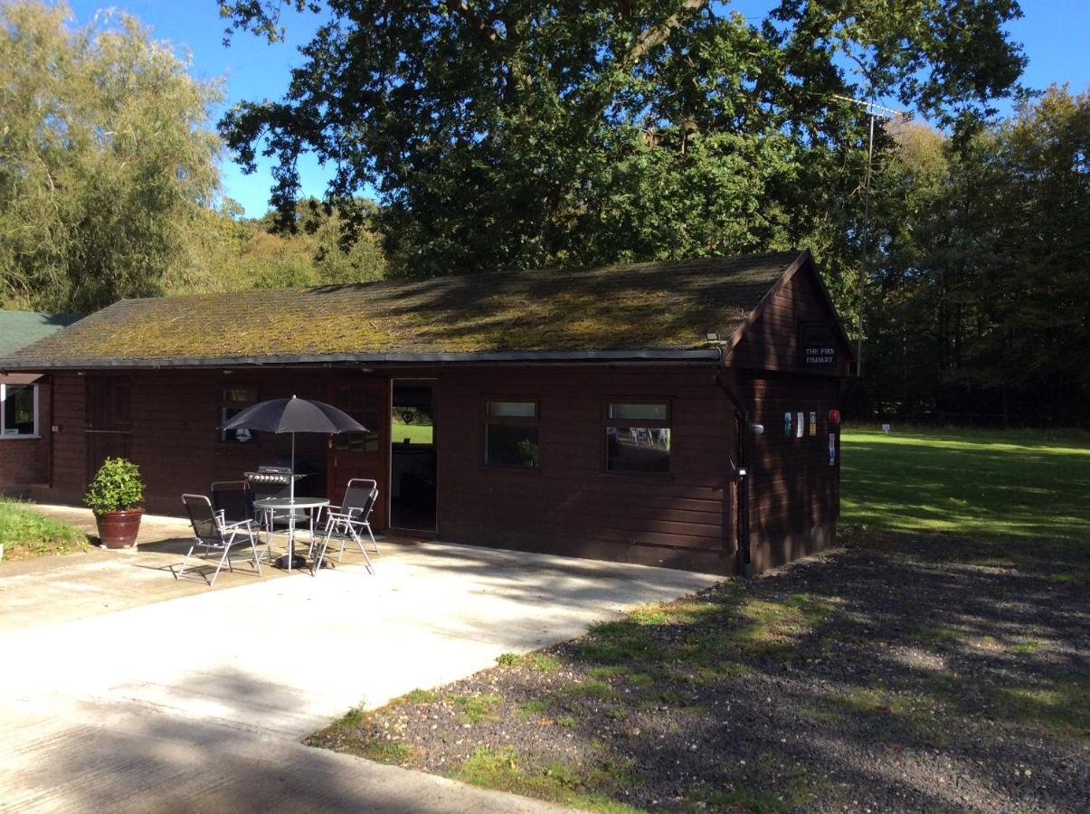 Villa The Firs Ashford  Exterior foto